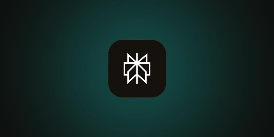 Perplexity Pro